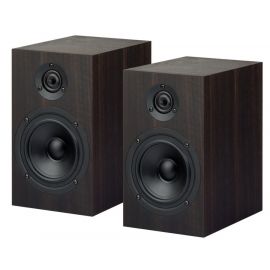 Project Speaker Box 5 DS2 - Eucalyptus